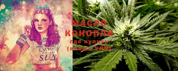 хмурый Алзамай