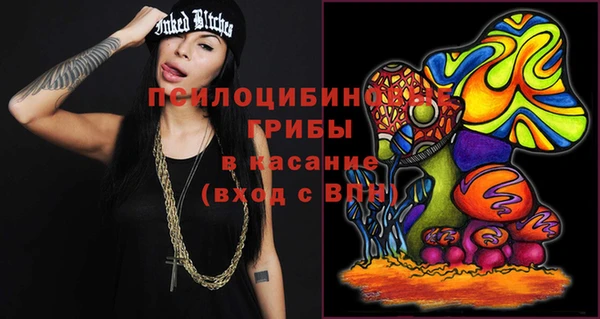 хмурый Алзамай